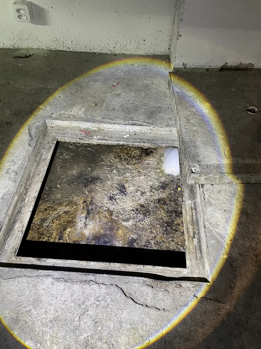 Caixa de gordura vista de cima com a superfície coberta por crosta de gordura, a camada que define a dosagem do produto