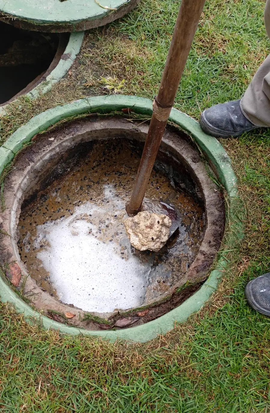 Caixa de gordura residencial no gramado durante a aplicação, com espuma na superfície e um pedaço de gordura endurecida retirado com a pá