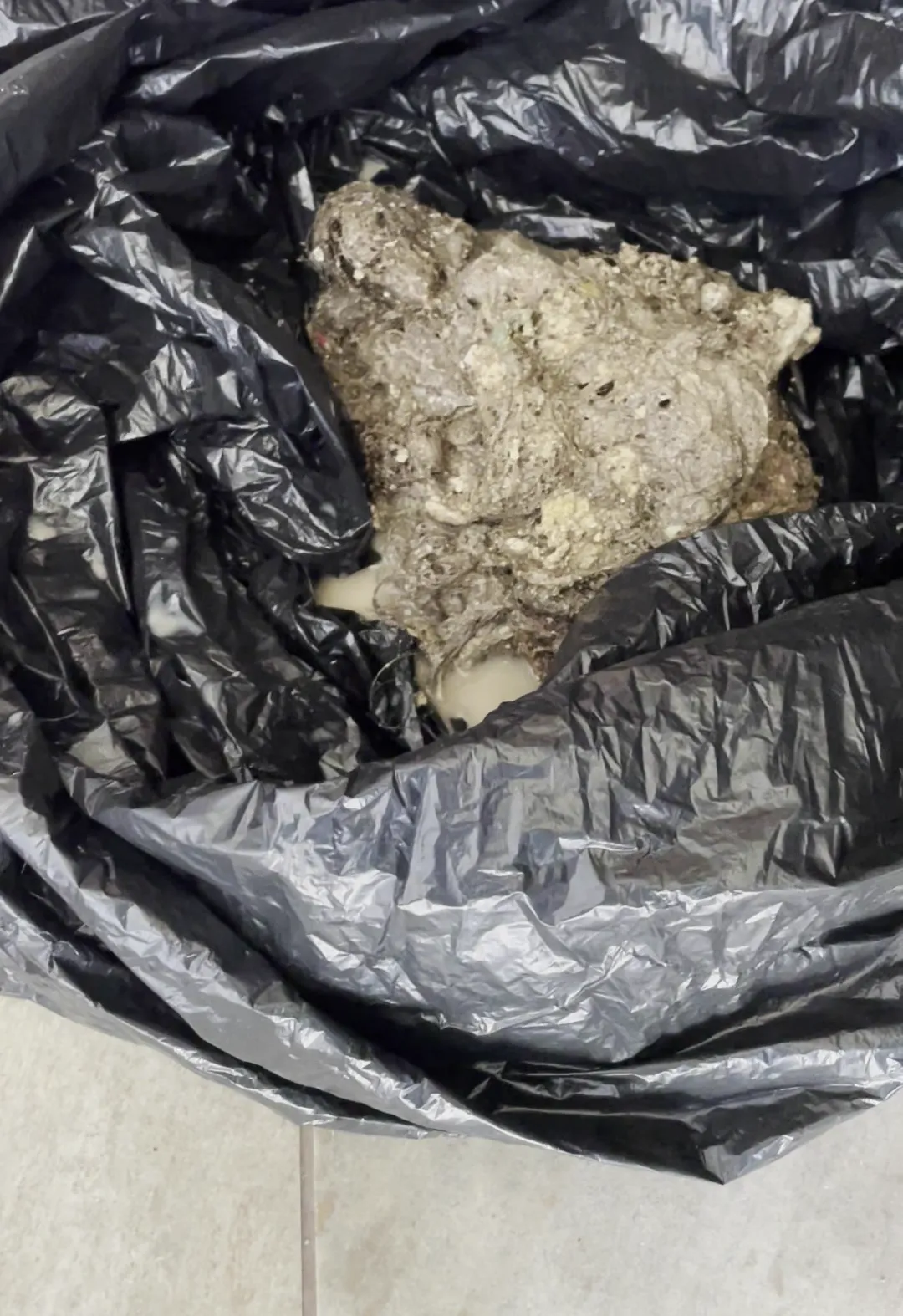 Pedaço de gordura endurecida retirado de uma caixa de gordura, dentro de um saco de lixo
