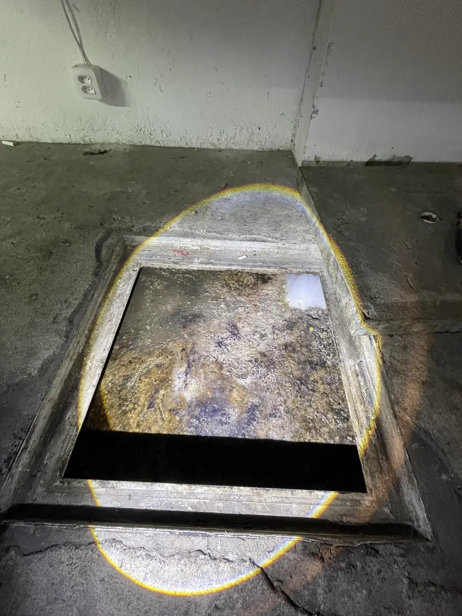 Caixa de gordura saturada, com crosta espessa de gordura cobrindo toda a superfície