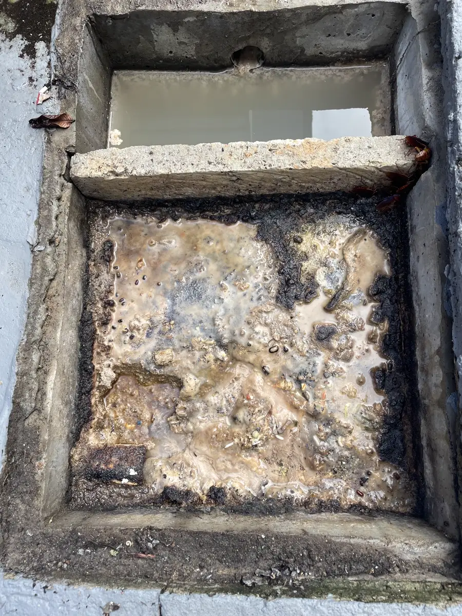 Caixa de gordura de alvenaria com crosta espessa de gordura endurecida na superfície, o estágio em que a limpeza vira serviço de desentupidora