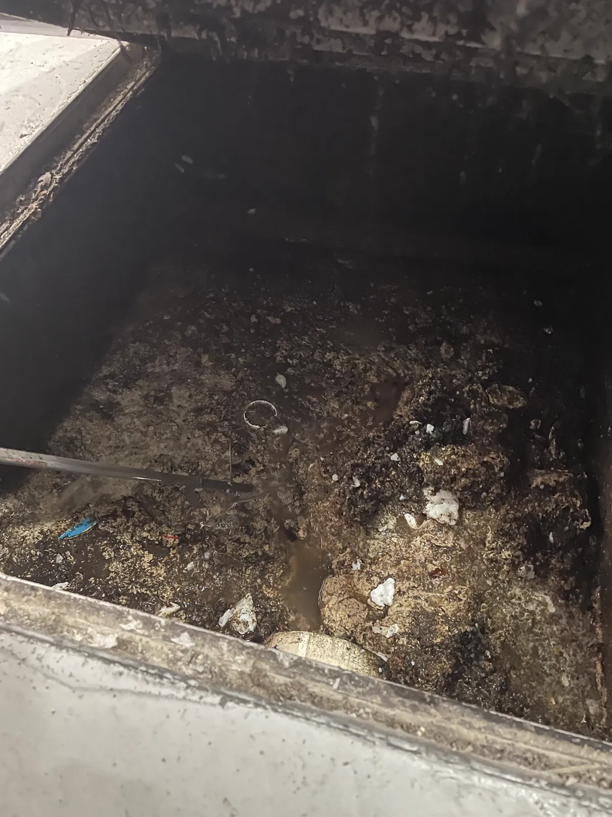 Caixa de gordura grande de prédio aberta, com camada espessa de gordura e resíduos na superfície
