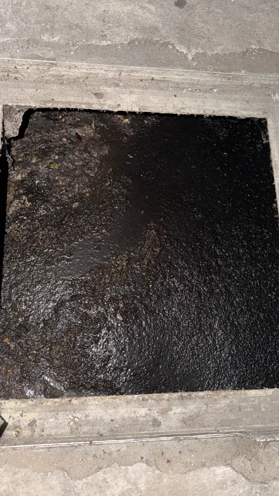 Caixa de gordura quadrada de concreto aberta, com uma camada escura de gordura cobrindo toda a superfície