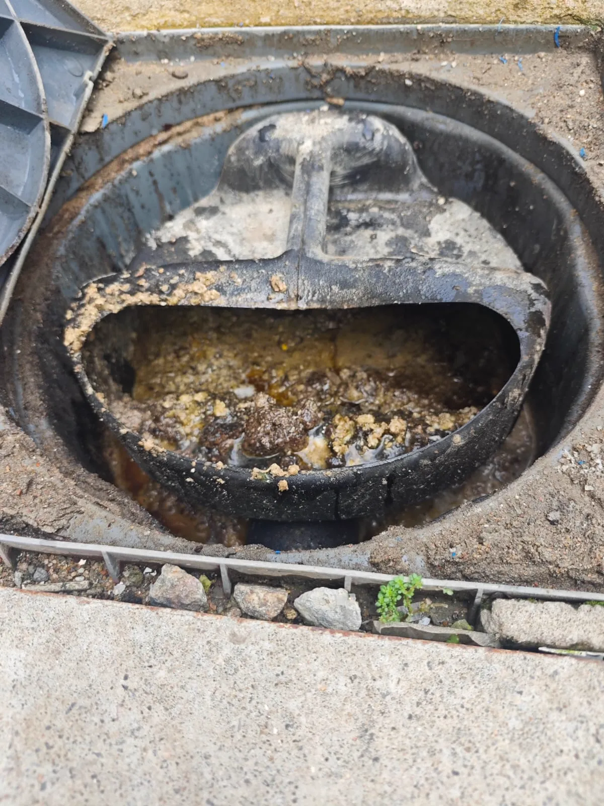 Caixa de gordura redonda de plástico aberta, com a peça interna removível e gordura acumulada