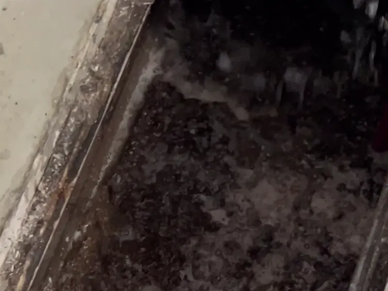 Caixa de gordura com o produto agindo sobre a camada de gordura